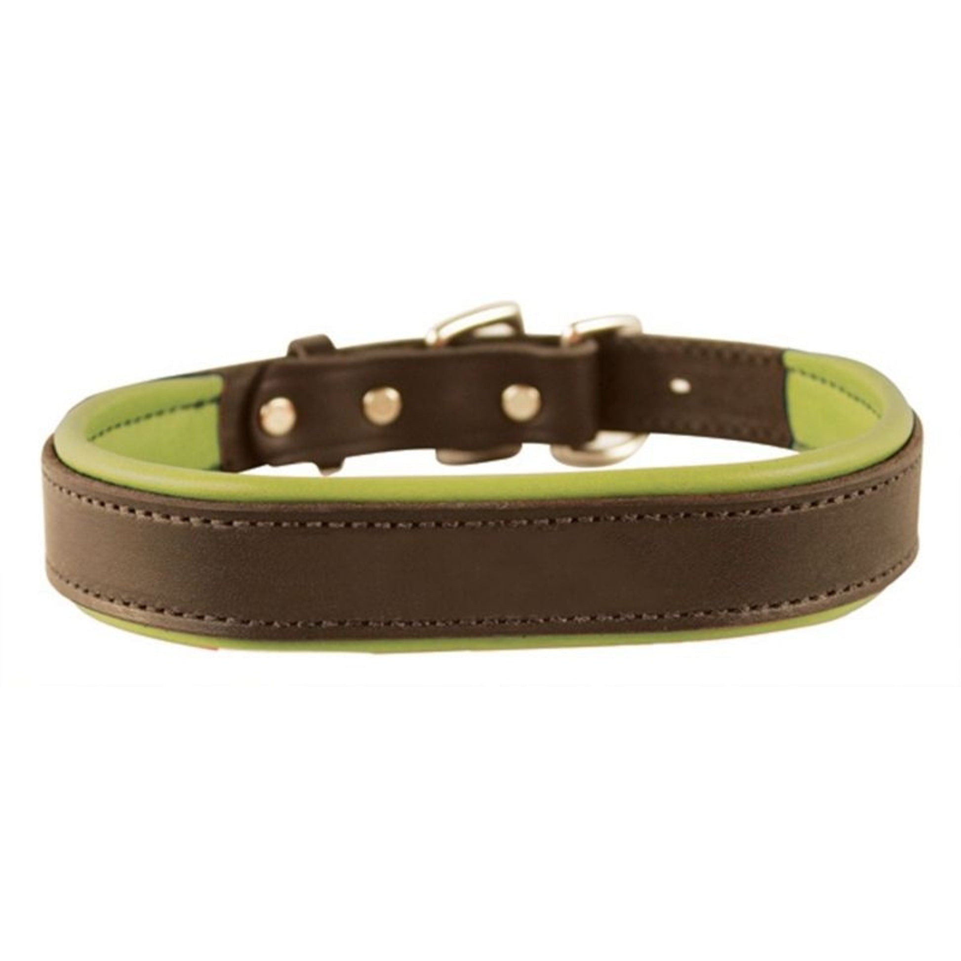 Perris Padded Leather Dog Collar