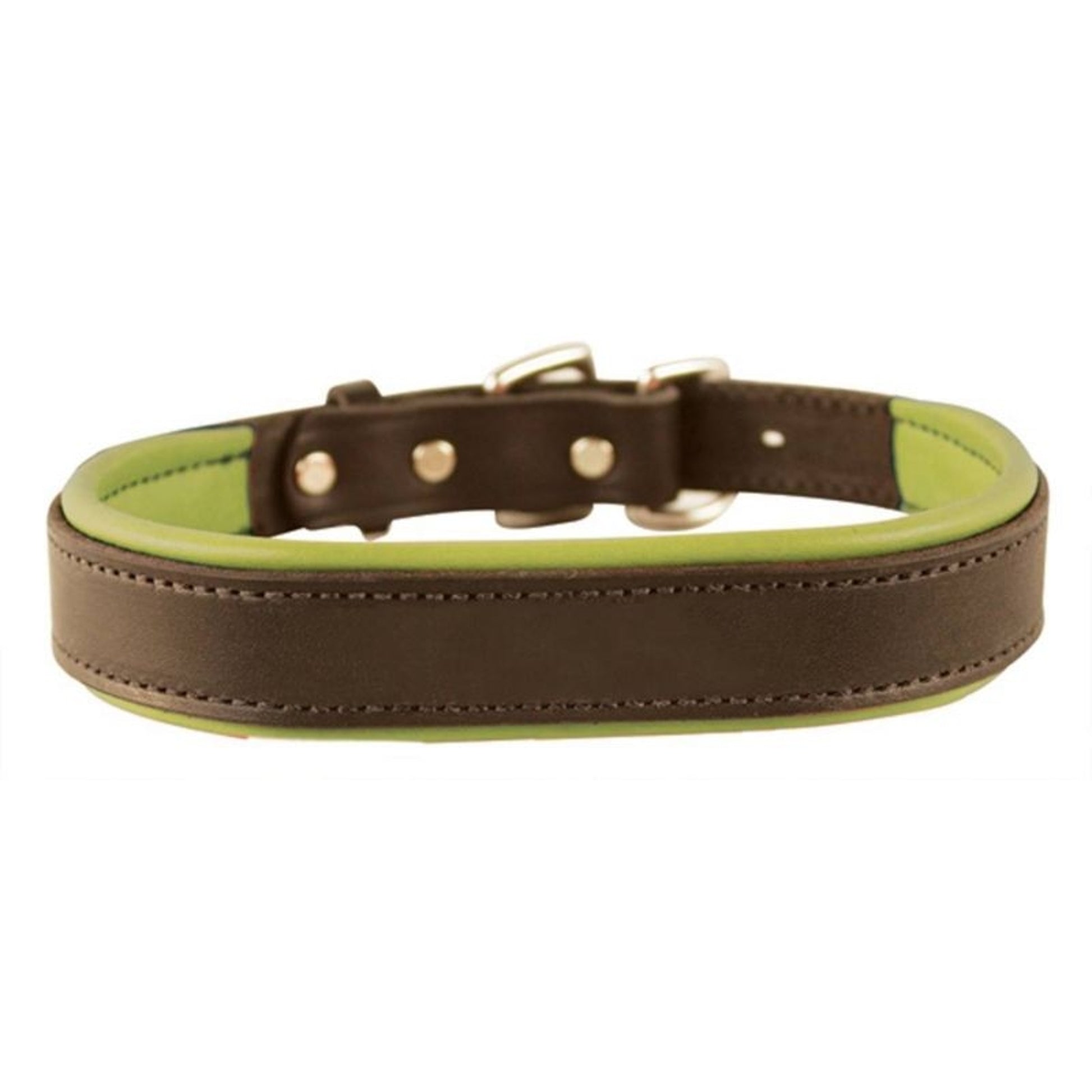 Perris Padded Leather Dog Collar