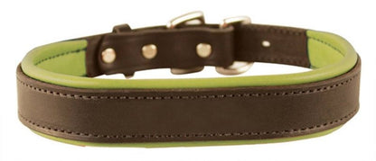 Perris Padded Leather Dog Collar
