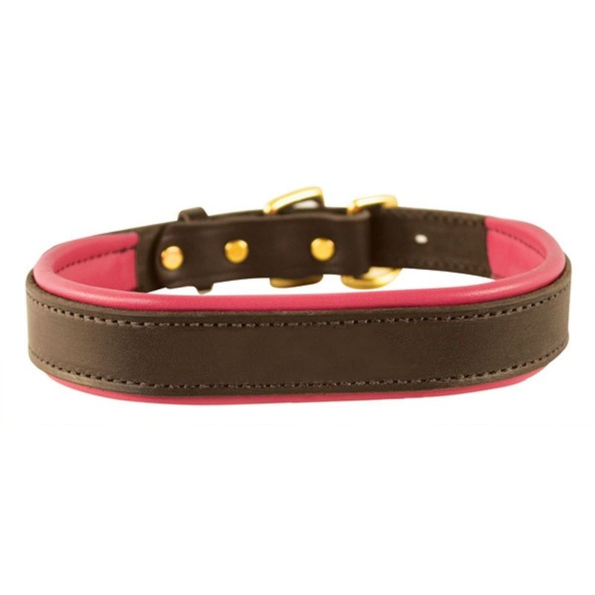 Perris Padded Leather Dog Collar