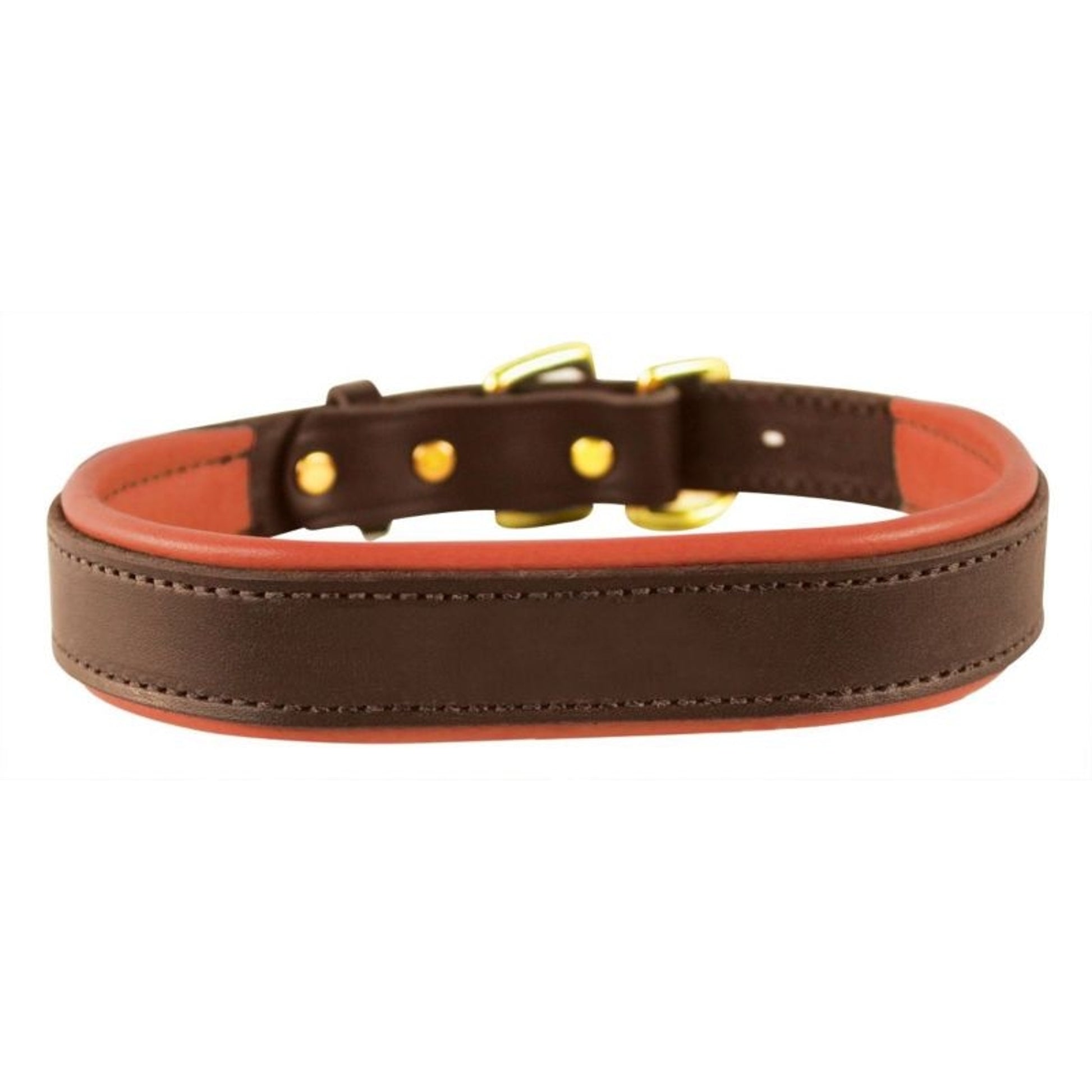 Perris Padded Leather Dog Collar