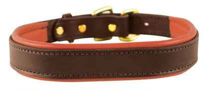 Perris Padded Leather Dog Collar