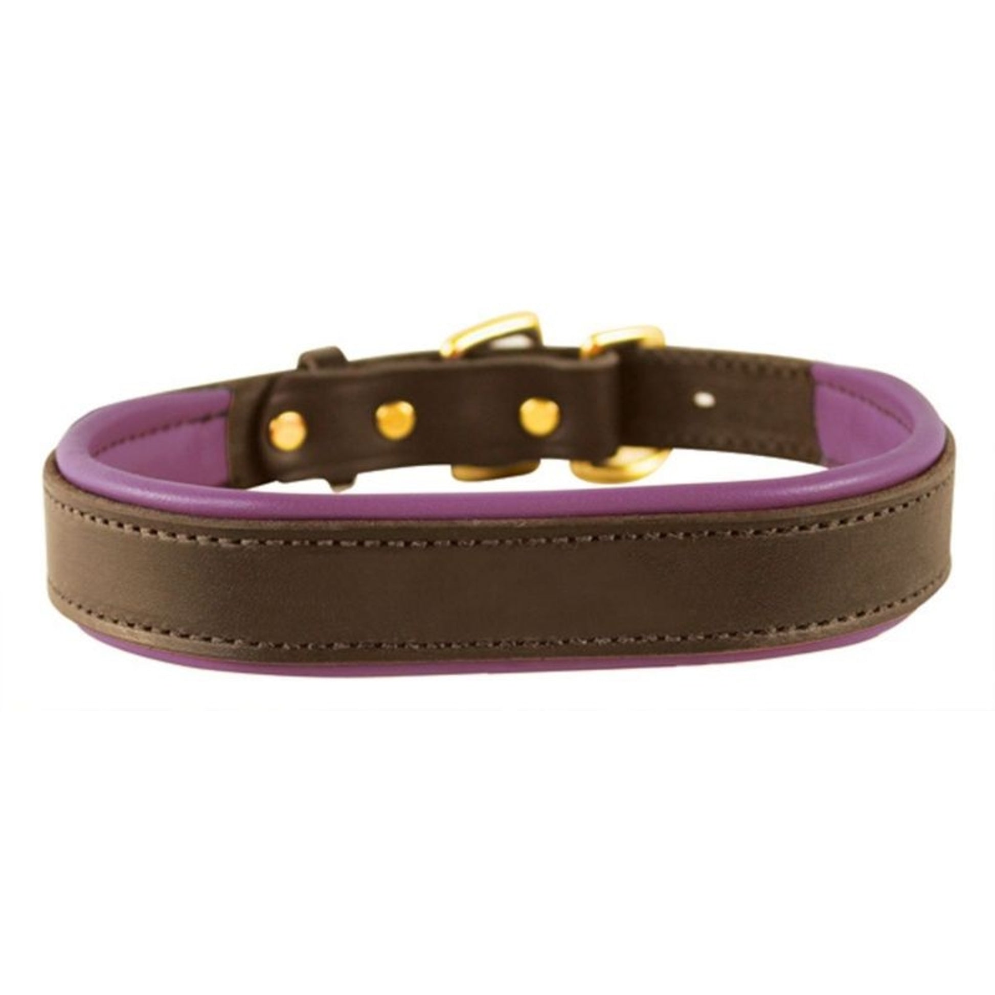 Perris Padded Leather Dog Collar