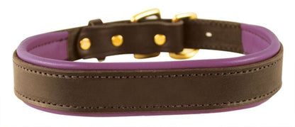 Perris Padded Leather Dog Collar