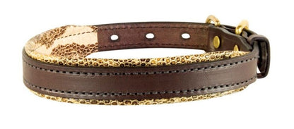 Perris Padded Leather Dog Collar