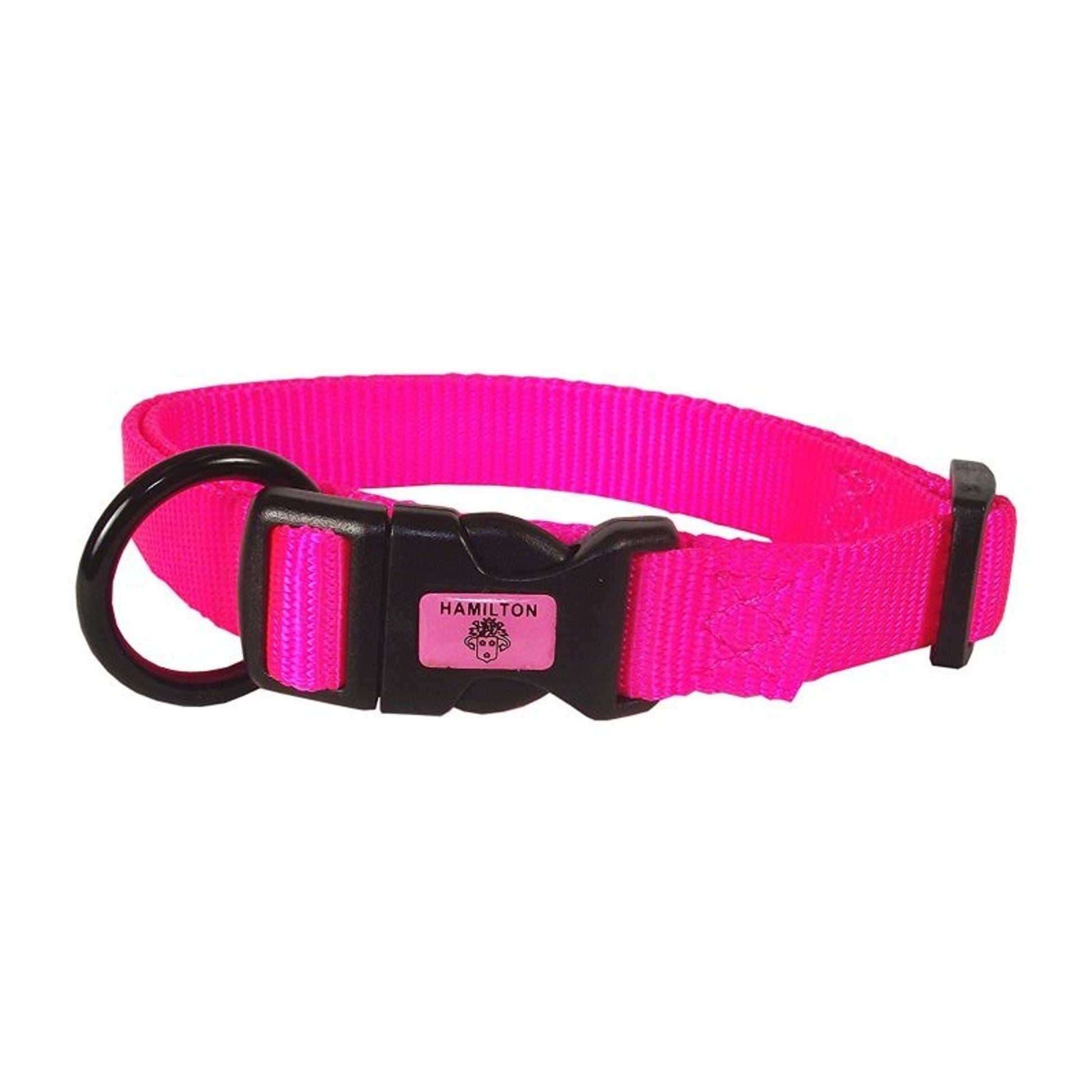 Hamilton Adjustable Dog Collar