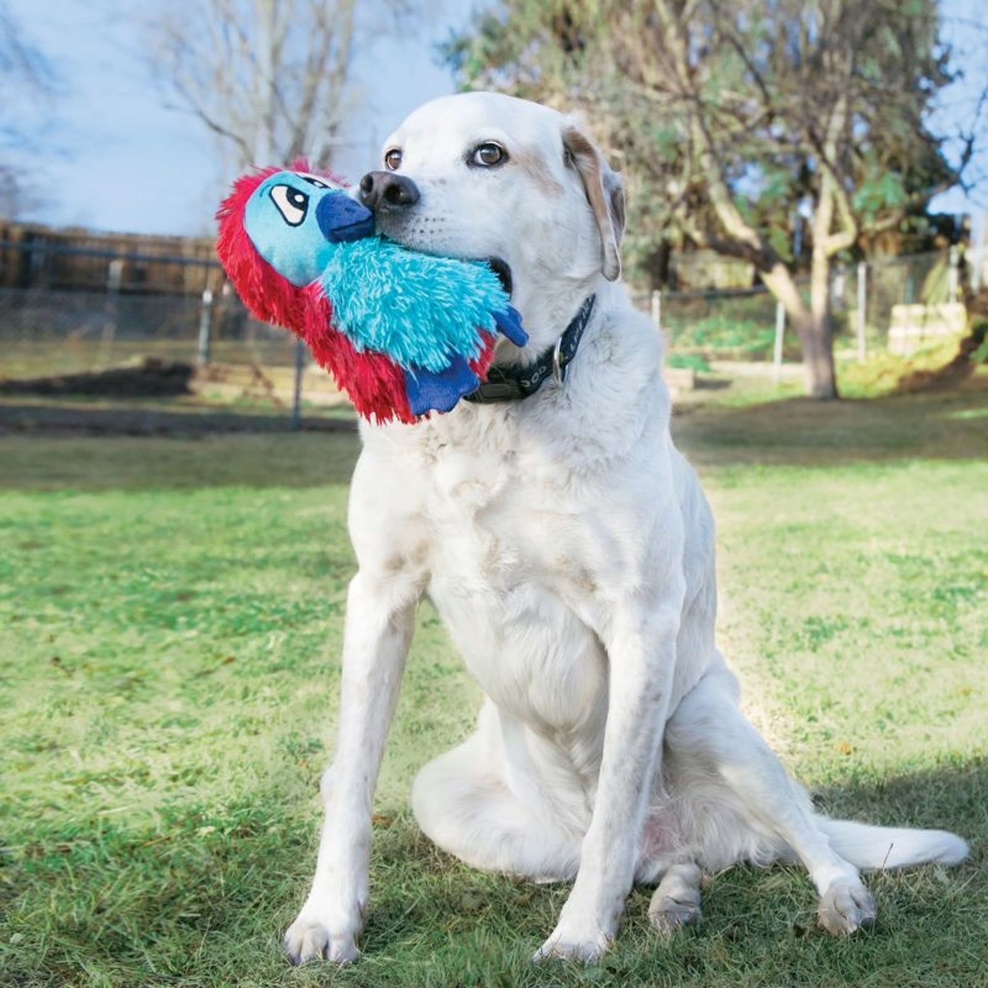 KONG DoDo Quirky Medium Dog Toy