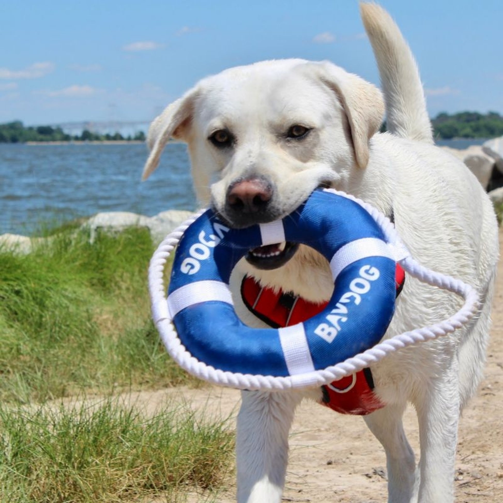 Baydog Fetch Ring Dog Toy