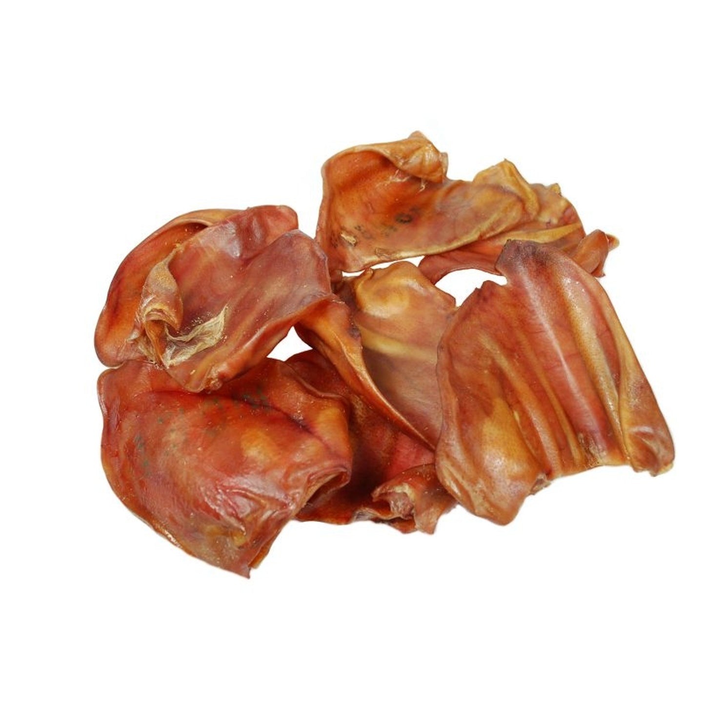 TP05928.jpg