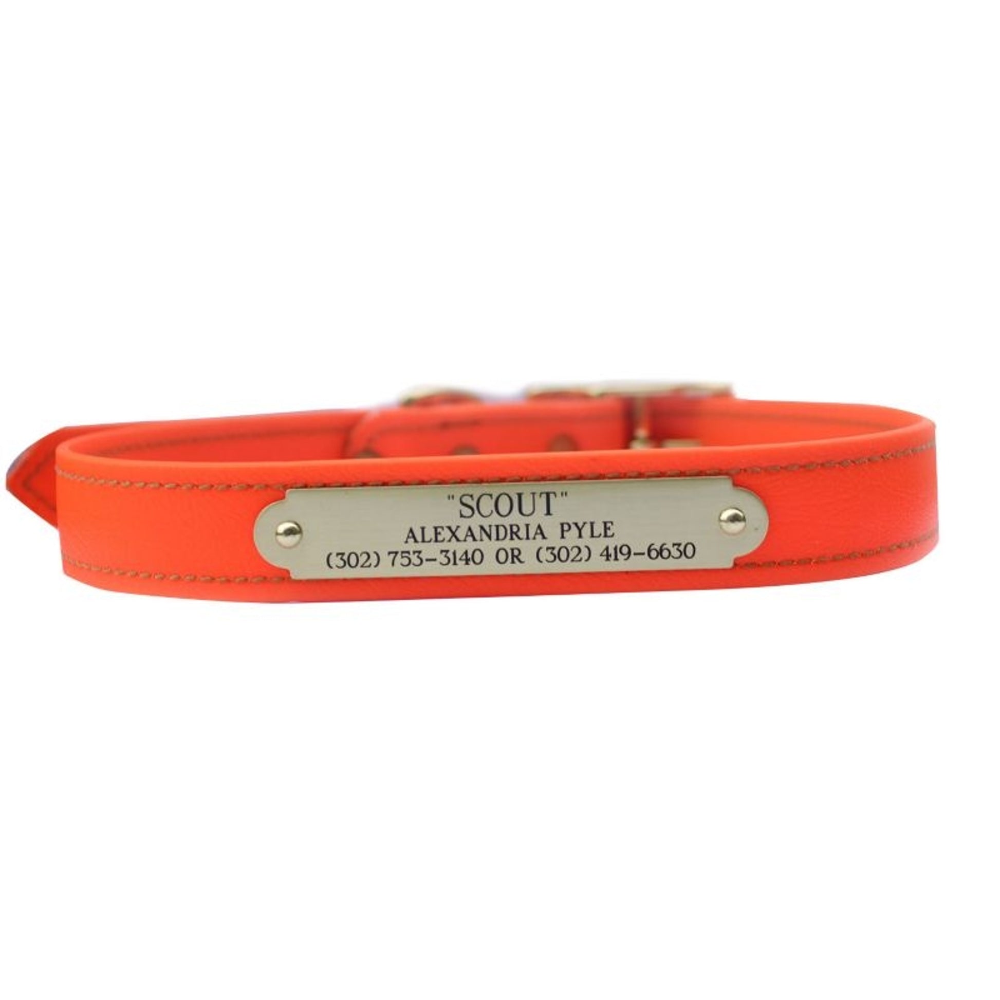 Personalized Synthetic Dog Collar