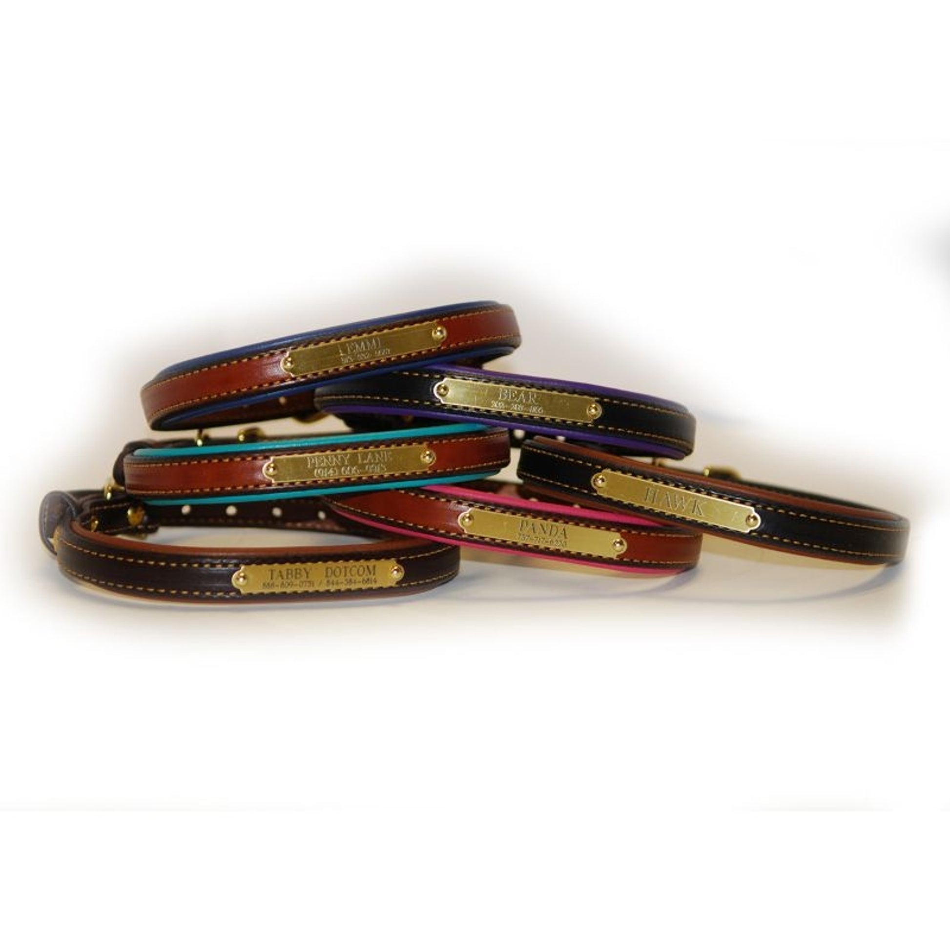 Personalized Padded Leather Dog Collar