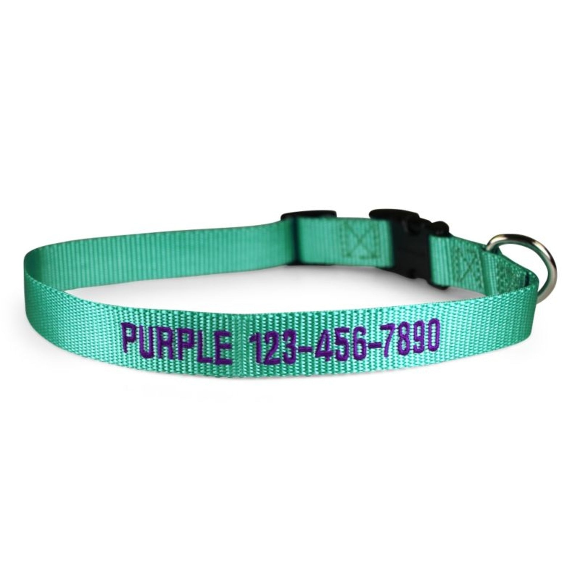 Personalized Mint Green Nylon Dog Collar