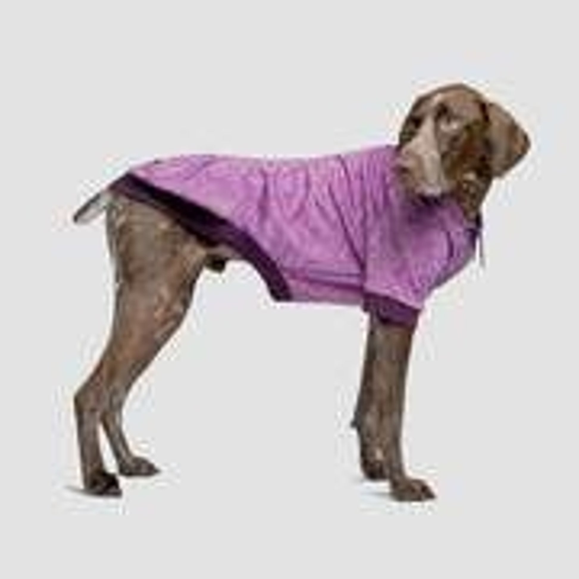 Canada Pooch Hero Dog Hoodie