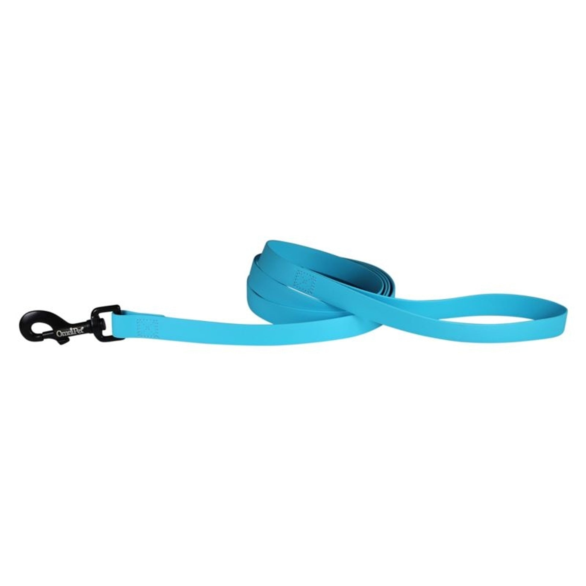 Carnival Waterproof 6ft Dog Leash
