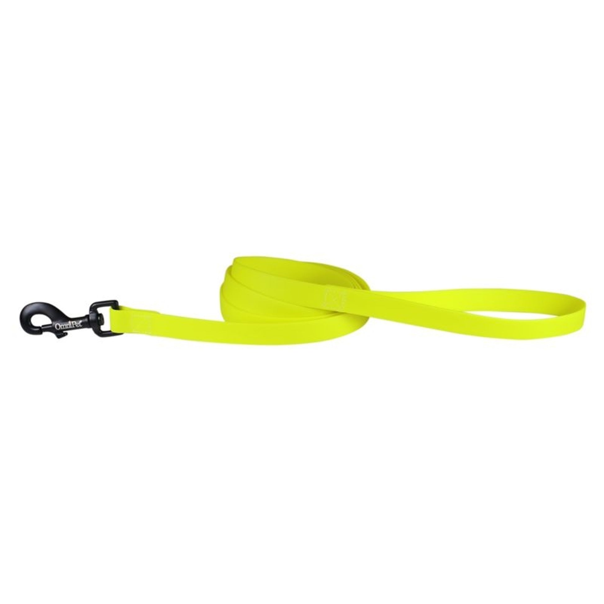 Carnival Waterproof 6ft Dog Leash