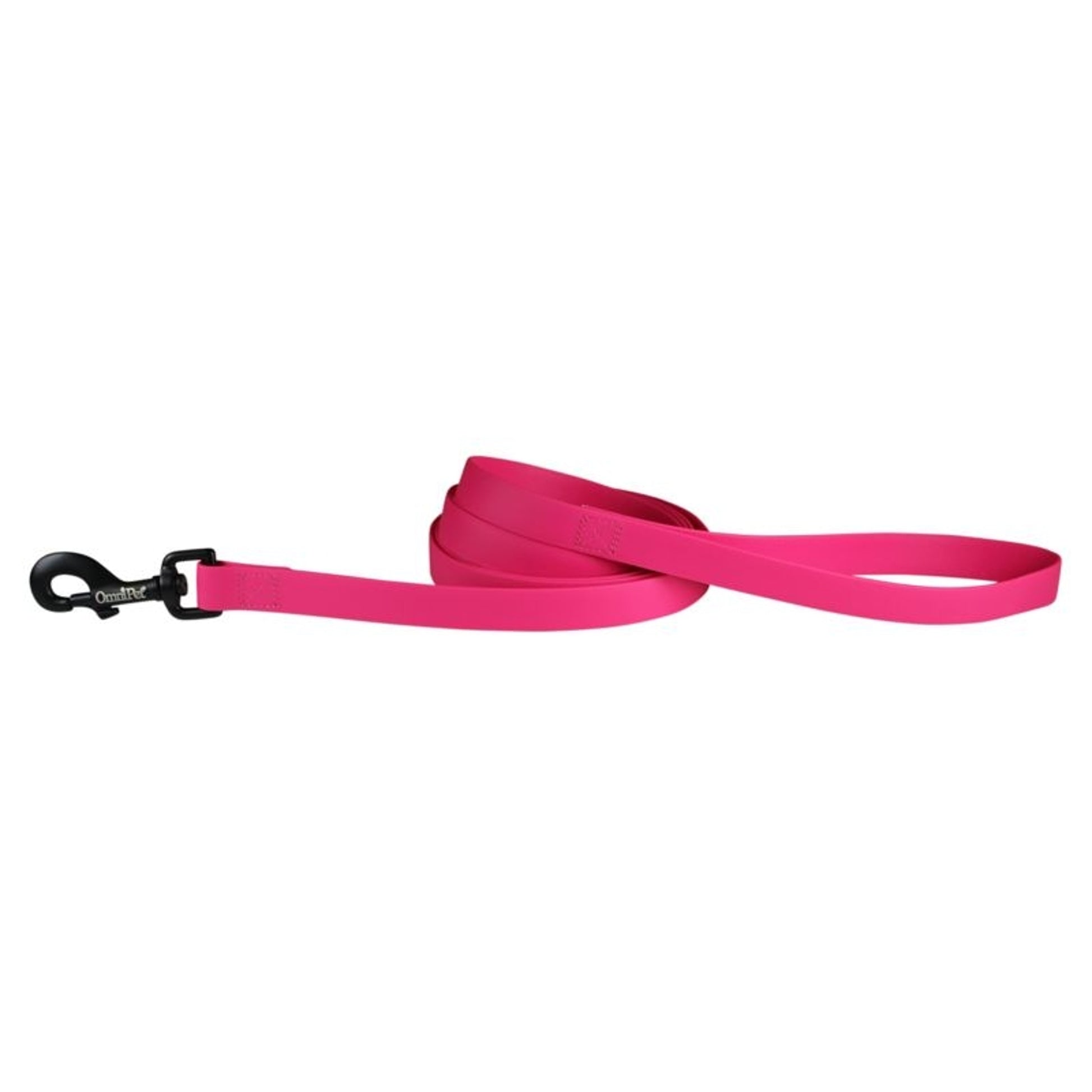 Carnival Waterproof 6ft Dog Leash