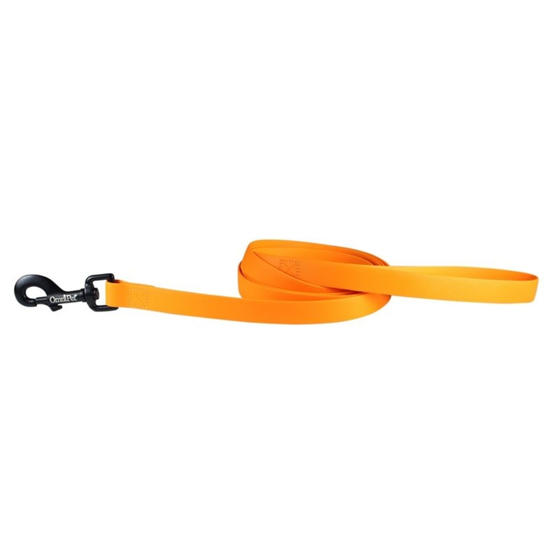 Carnival Waterproof 6ft Dog Leash