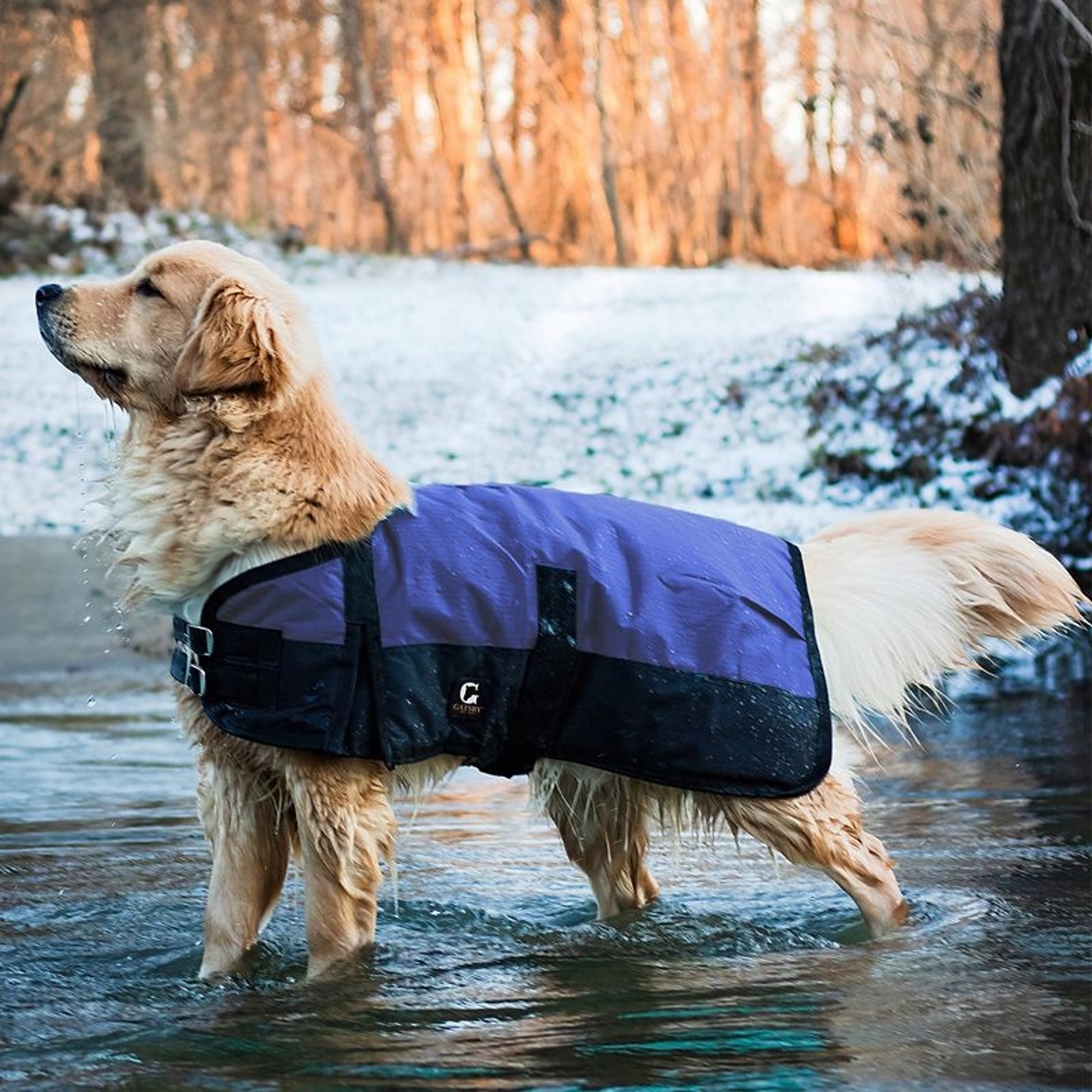 Gatsby 600D Ripstop Waterproof Dog Coat