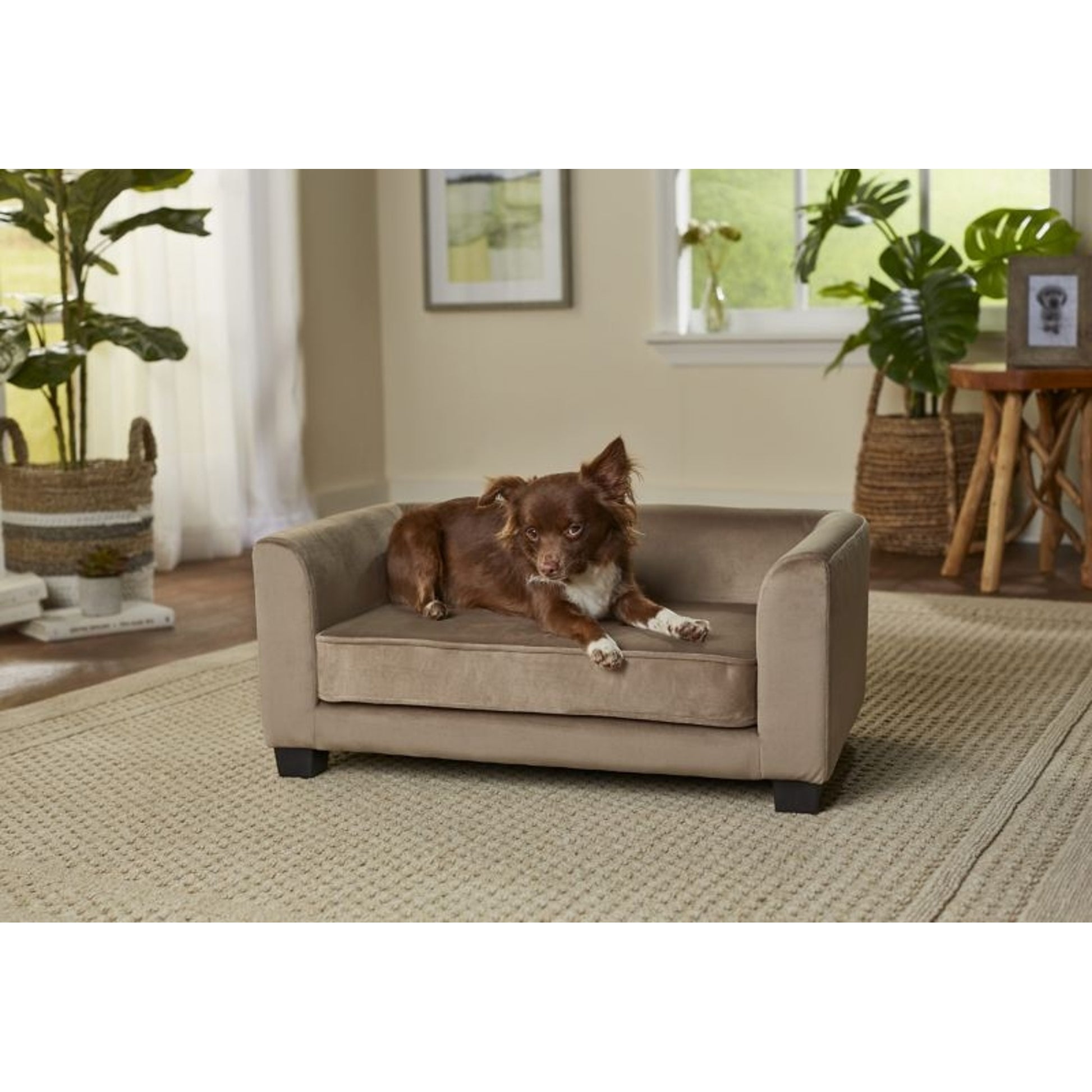 Enchanted Home Pet Surrey Beige Pet Sofa Bed