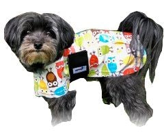 Snugpups Owls Dog Raincoat