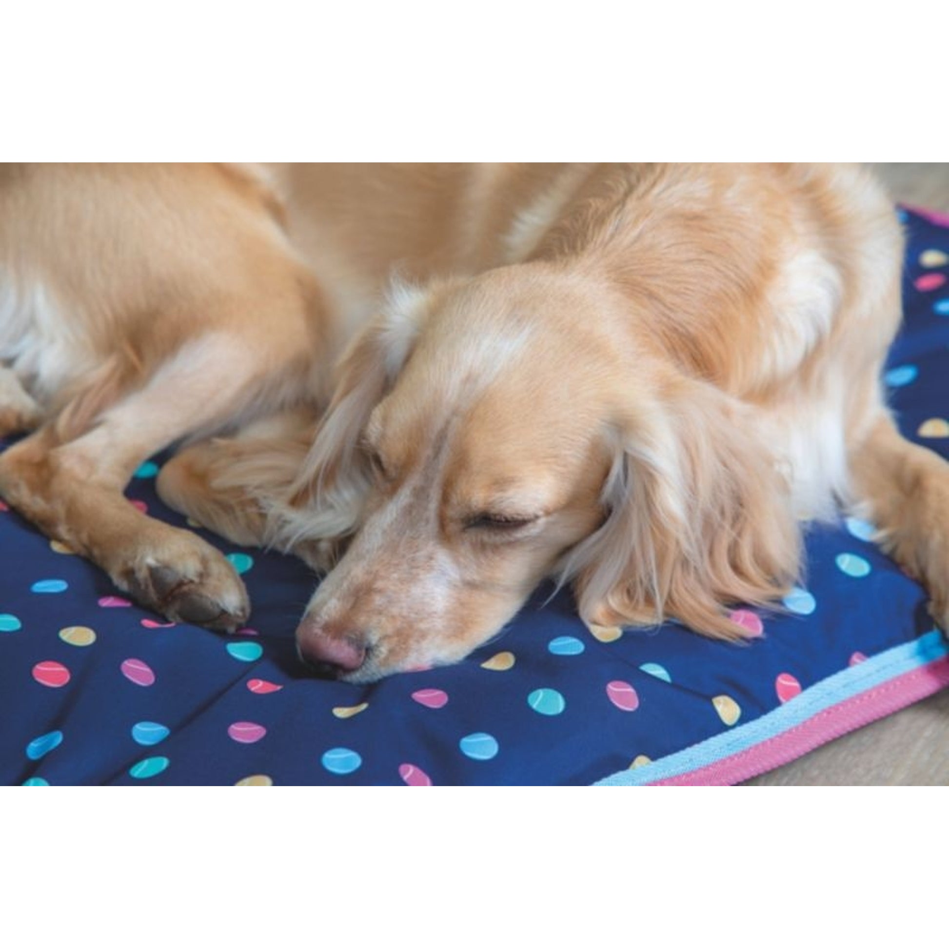 Shires Digby Waterproof Dog Bed