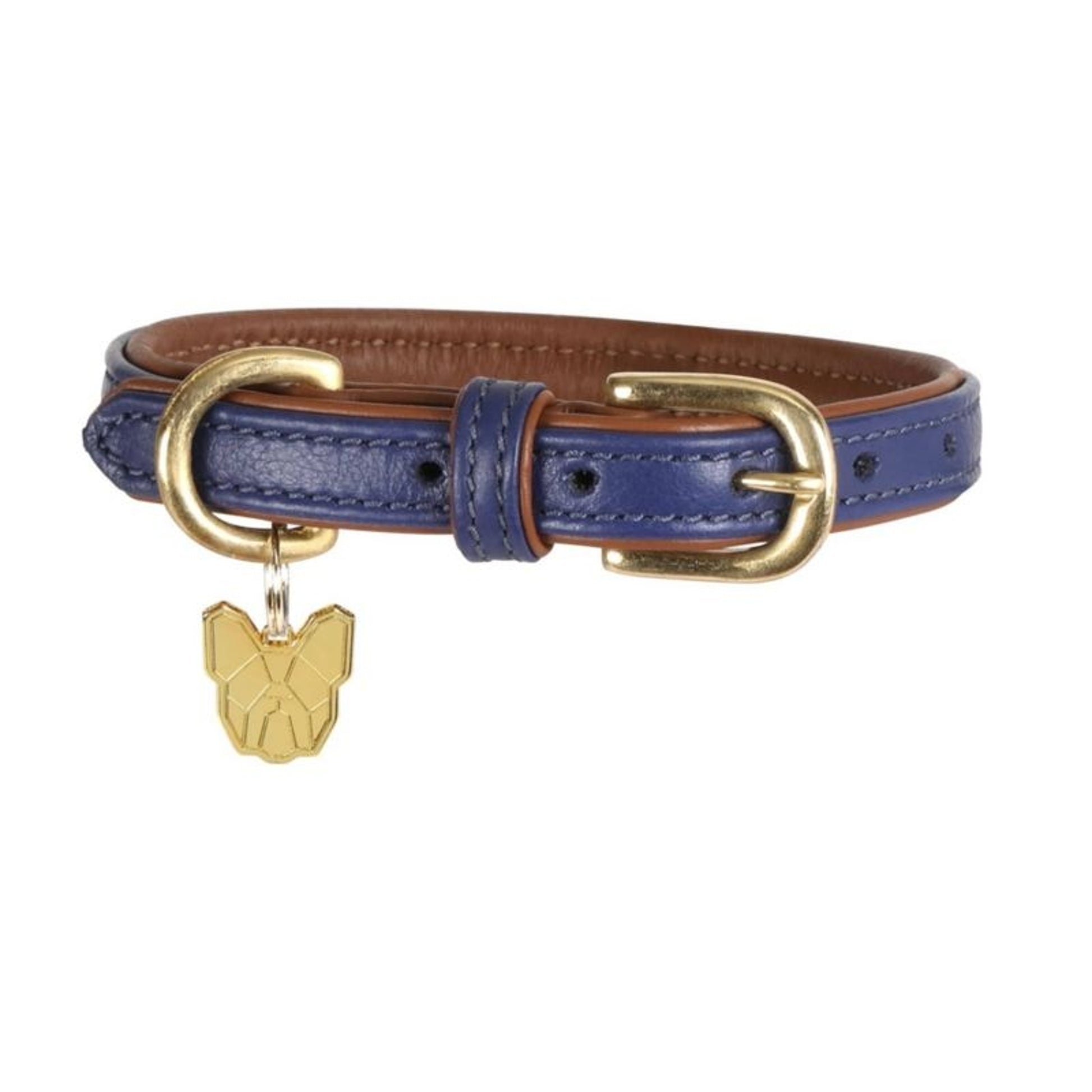 Shires Digby Padded Dog Collar
