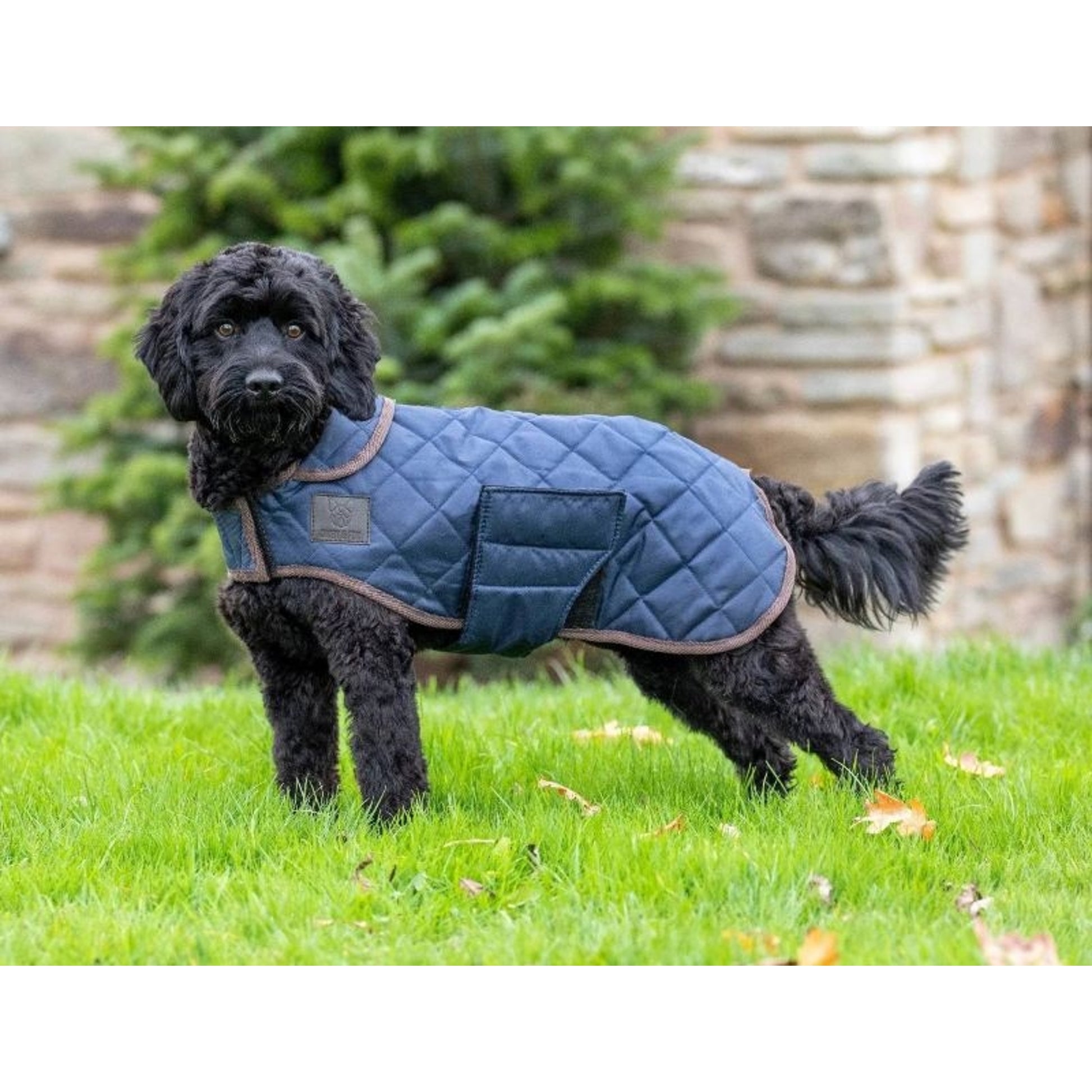 Shires Digby Fox Quilted Dog Coat