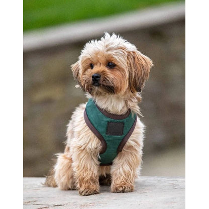 Shires Digby Fox Quilted Harness