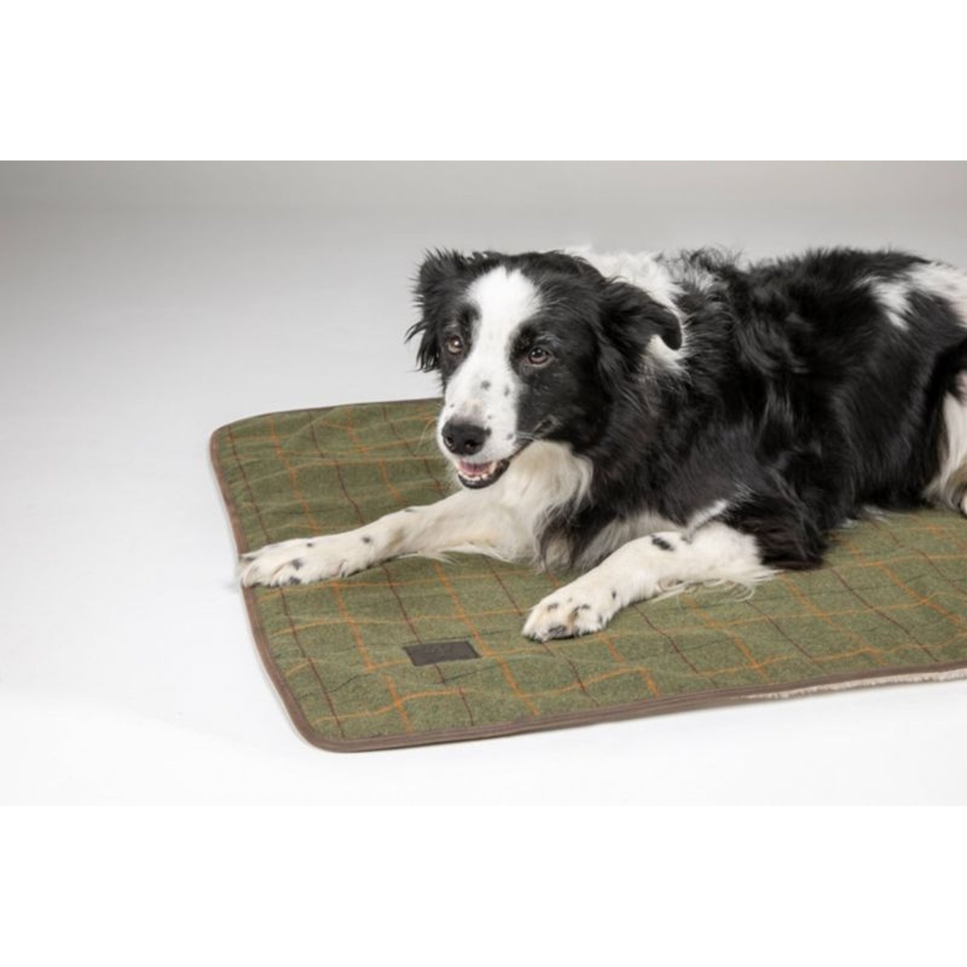 Shires Digby Fox Tweed Blanket