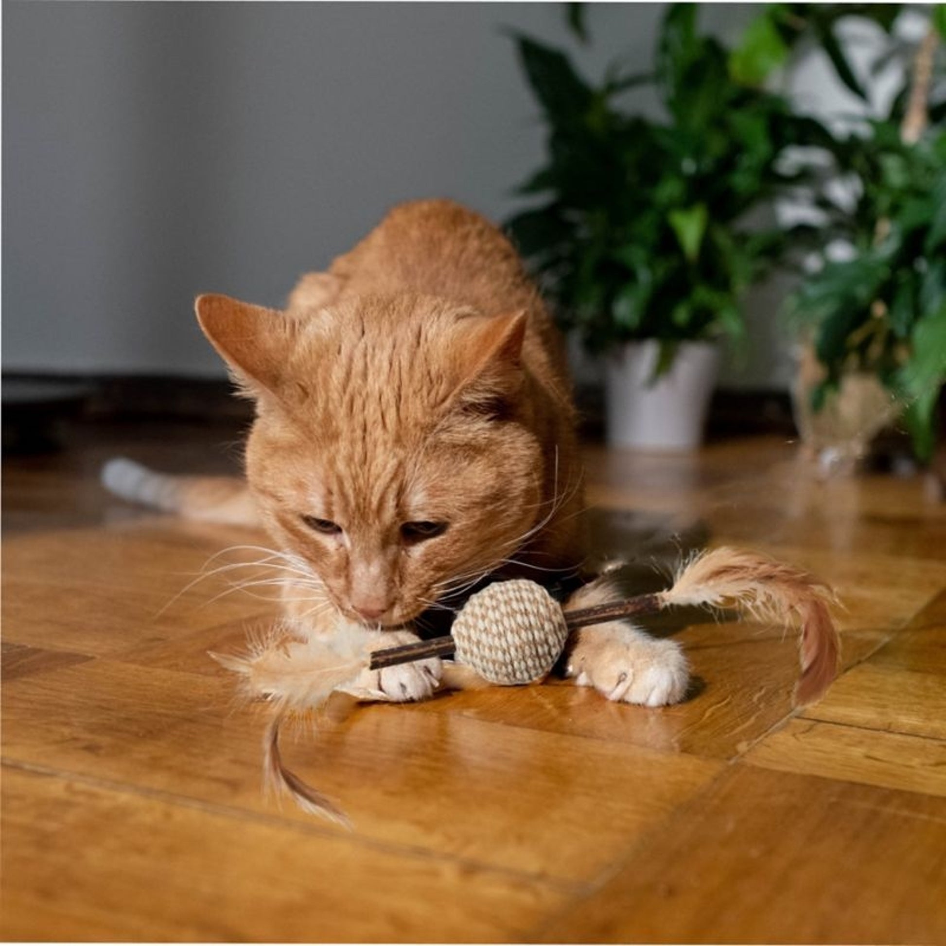 Spot Naturals Silver Vine Cord/Stick Cat Toy