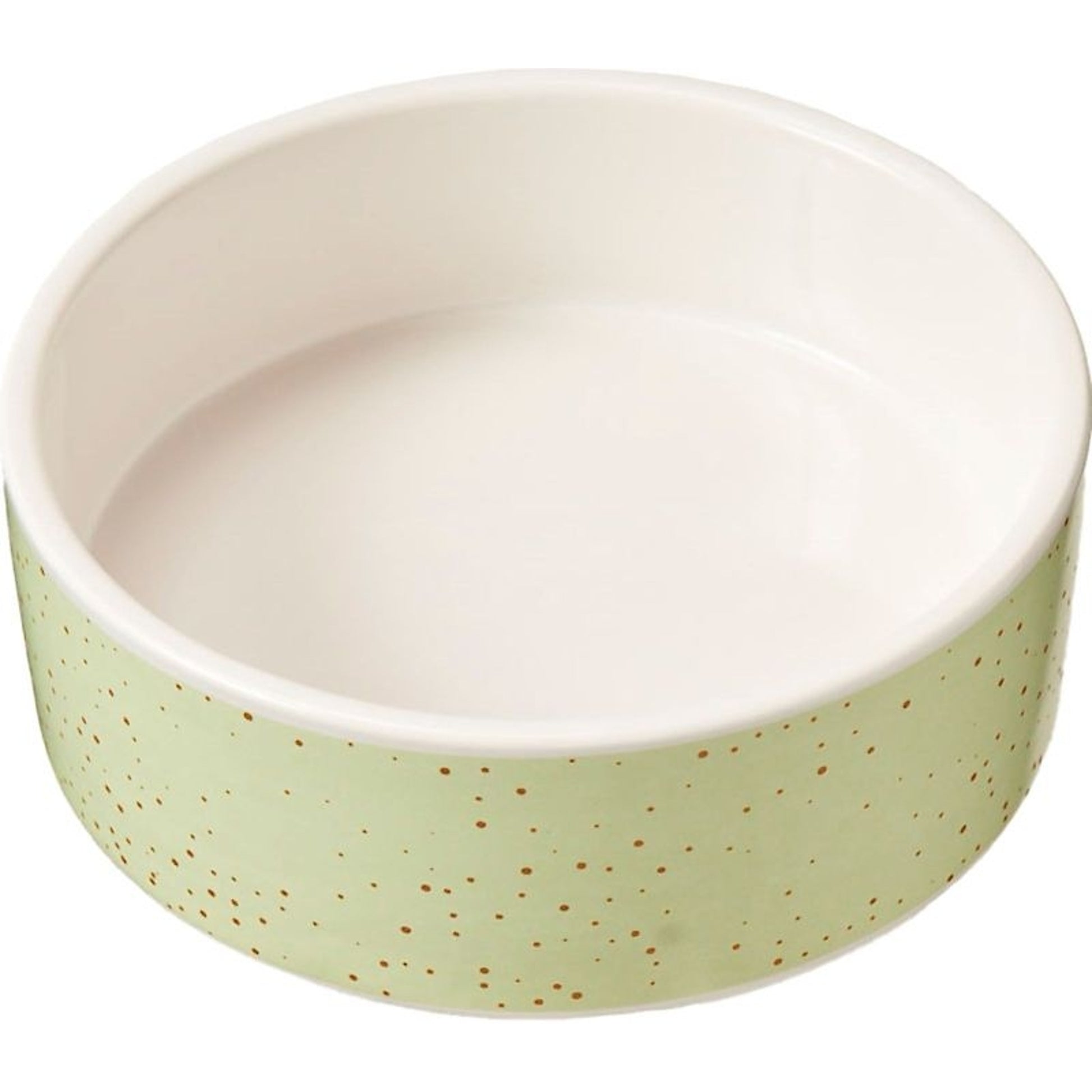 Spot Stoneware Dog Dish