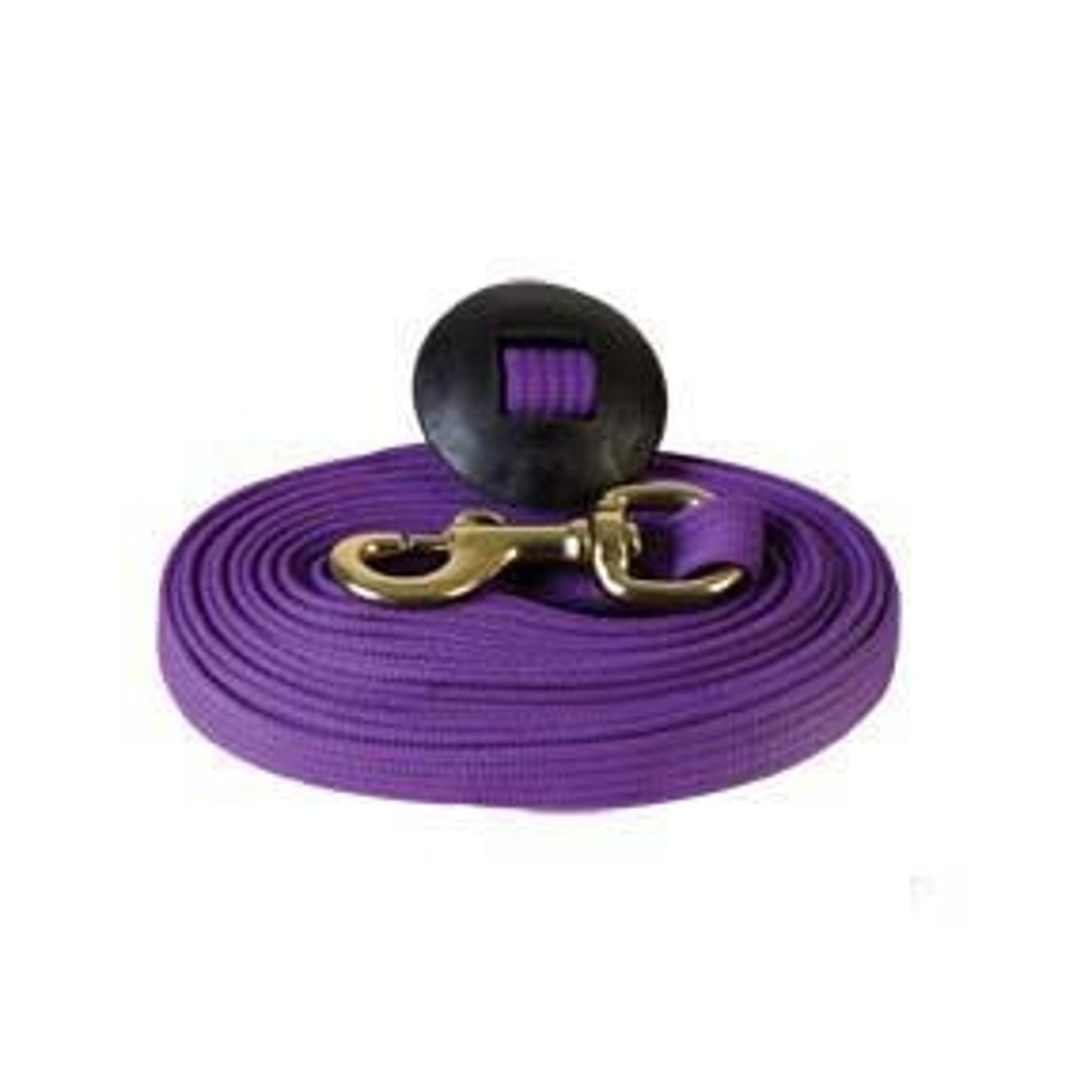 Basic Flat Cotton Web Lunge Line