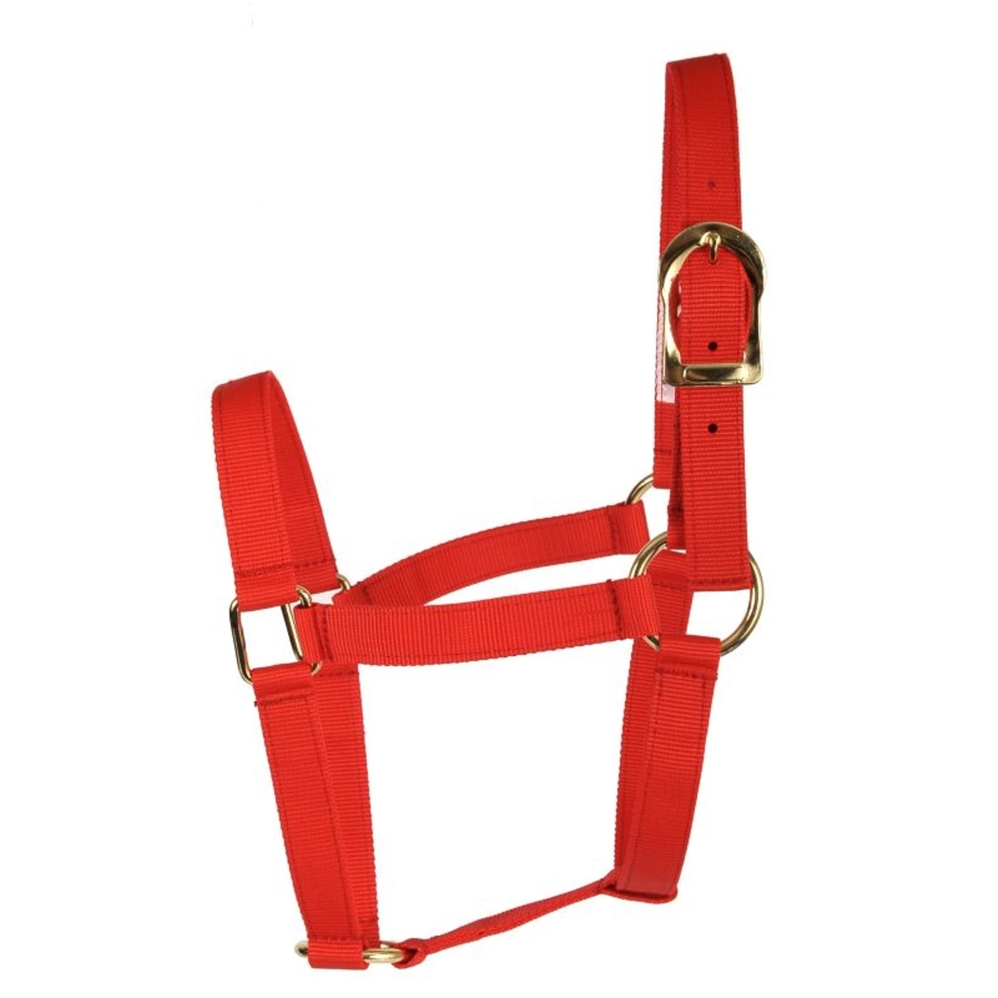 Basic 2-Ply Halter