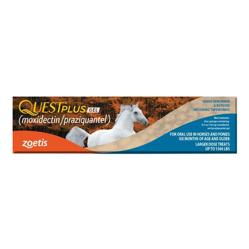 Quest Plus