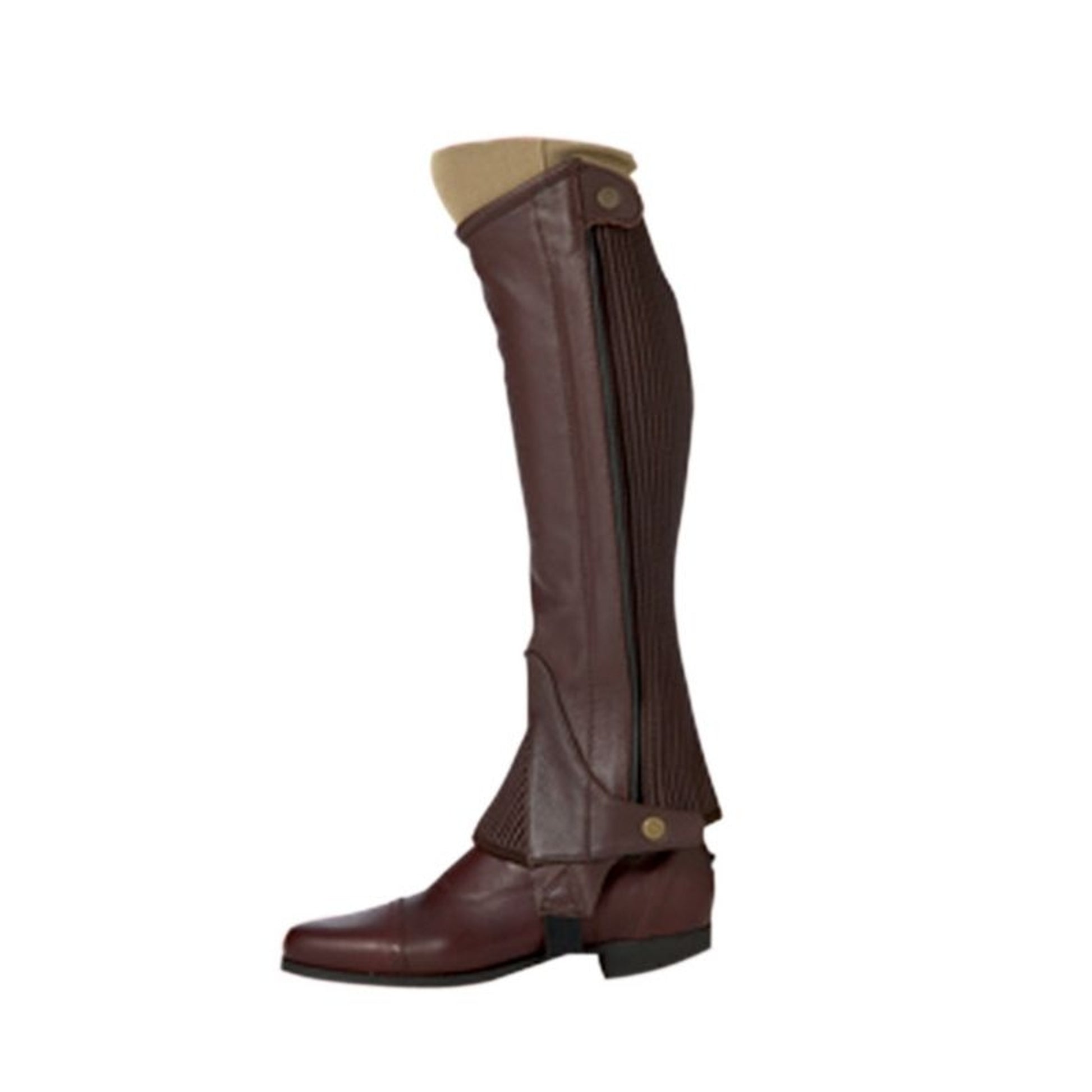 Ovation Ladies Pro Top Grain Half Chaps