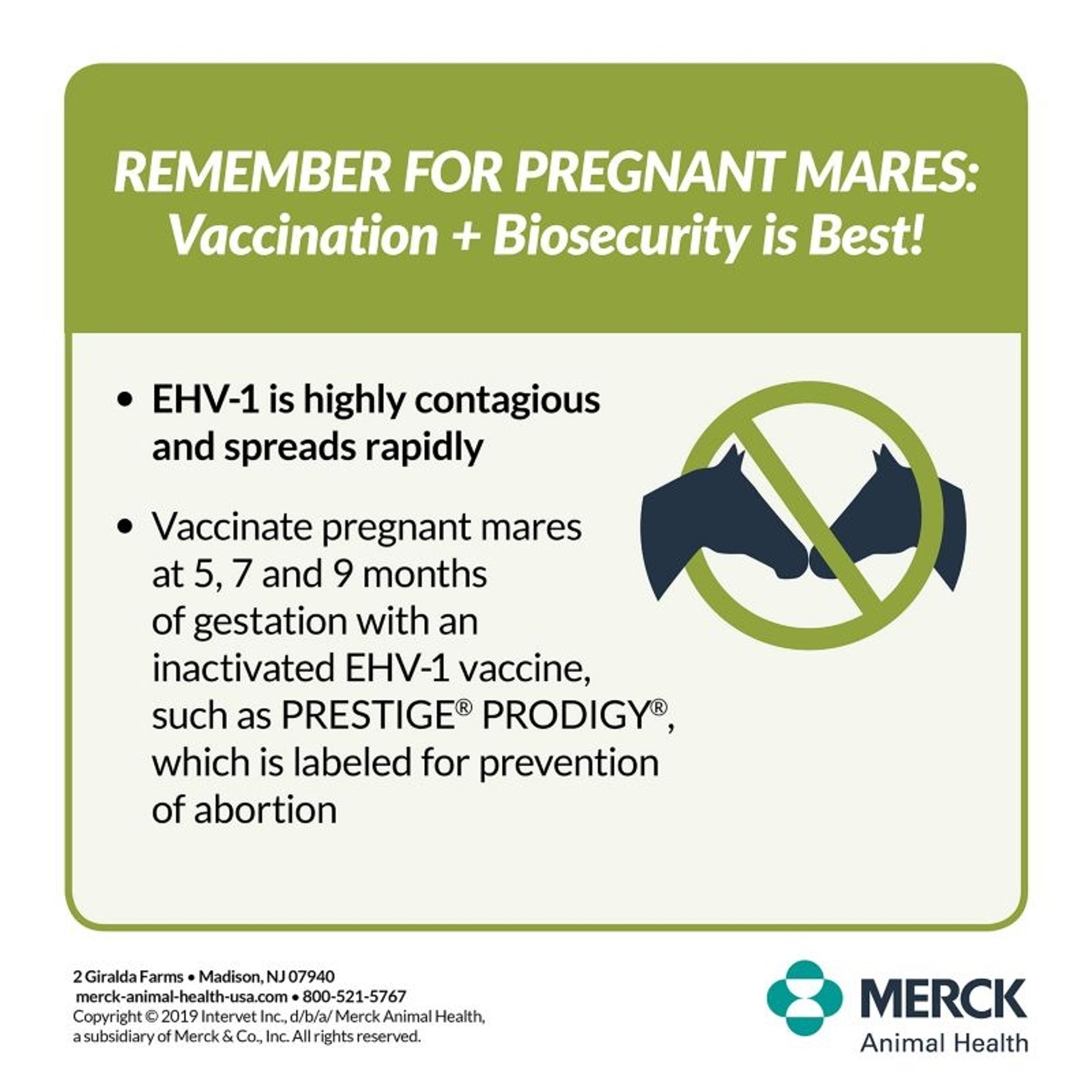 Merck Prestige Prodigy Vaccine Multi Pack 9 Dose